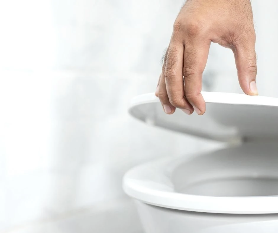 Toilet Bowl Replacement / Repair