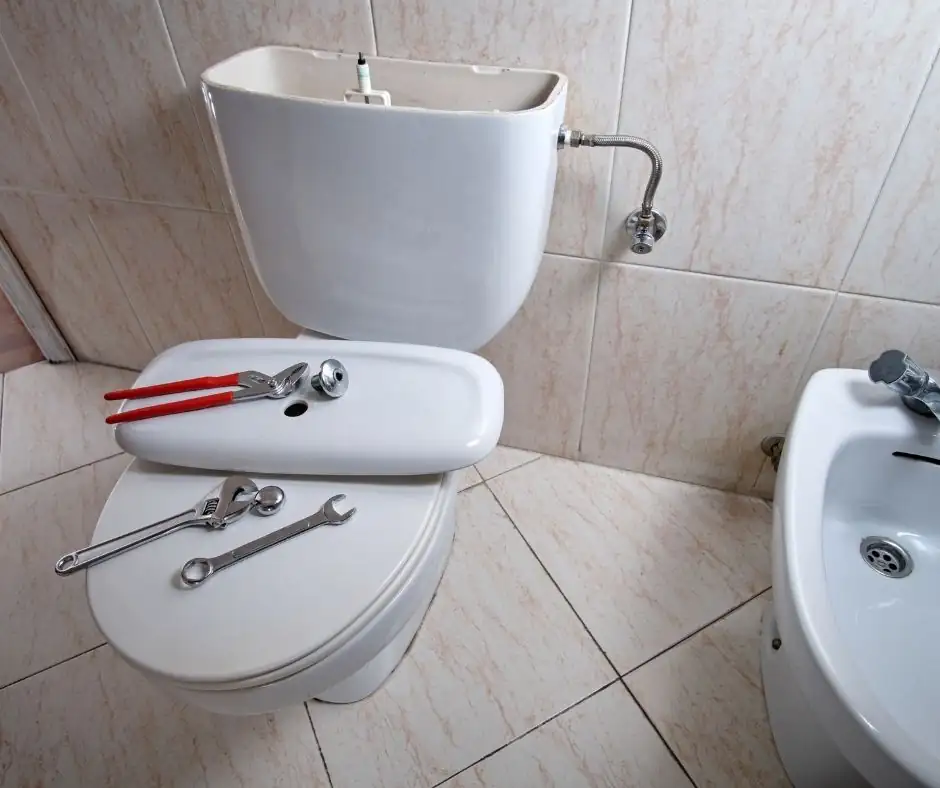 Toilet - Flush System Repair