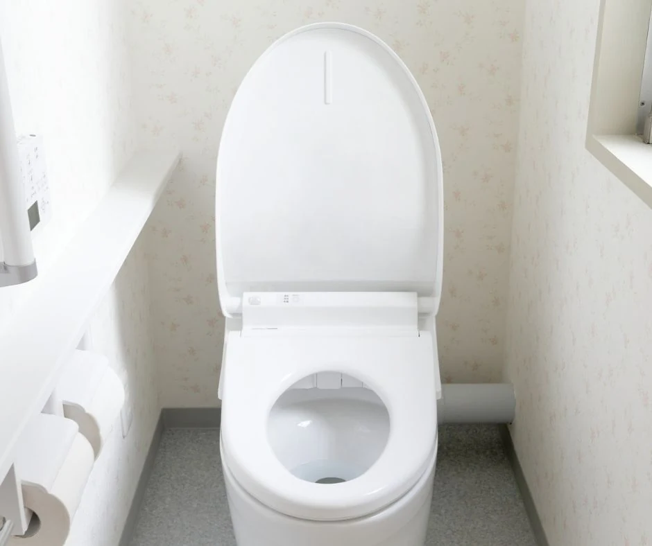 Toilet Seat Replacement